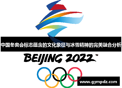 中国冬奥会标志蕴含的文化象征与冰雪精神的完美融合分析