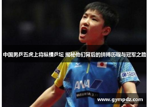 中国男乒五虎上将纵横乒坛 揭秘他们背后的拼搏历程与冠军之路