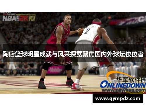 陶店篮球明星成就与风采探索聚焦国内外球坛佼佼者